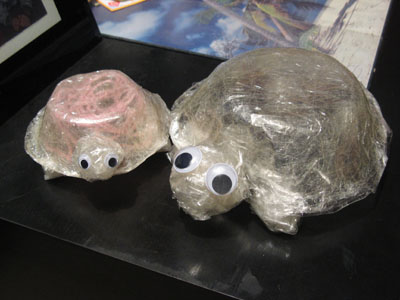 Artist Prototype Sellotape Tortoises by Pui Lee